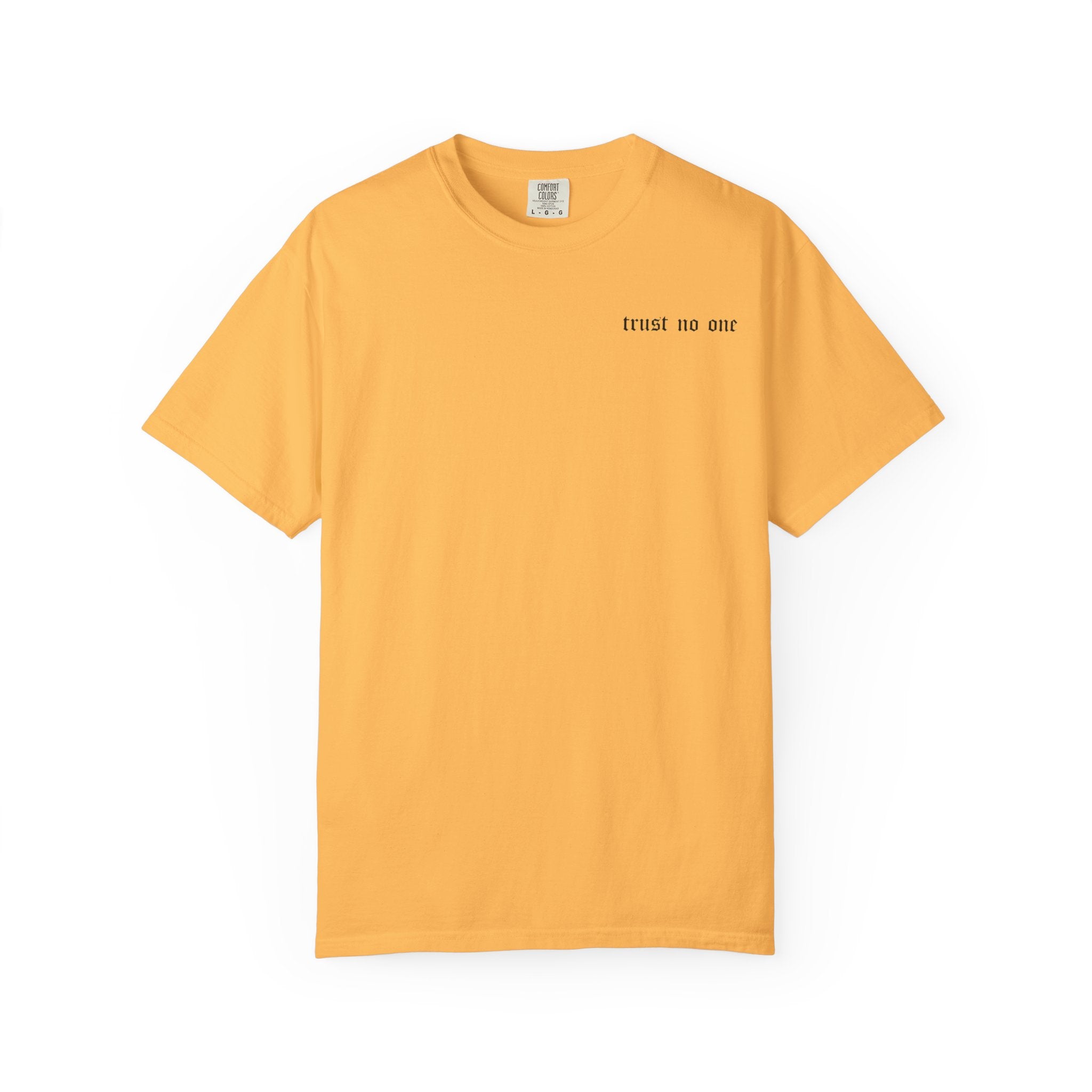 Honest Enemy Better than Fake Friend Unisex T-Shirt