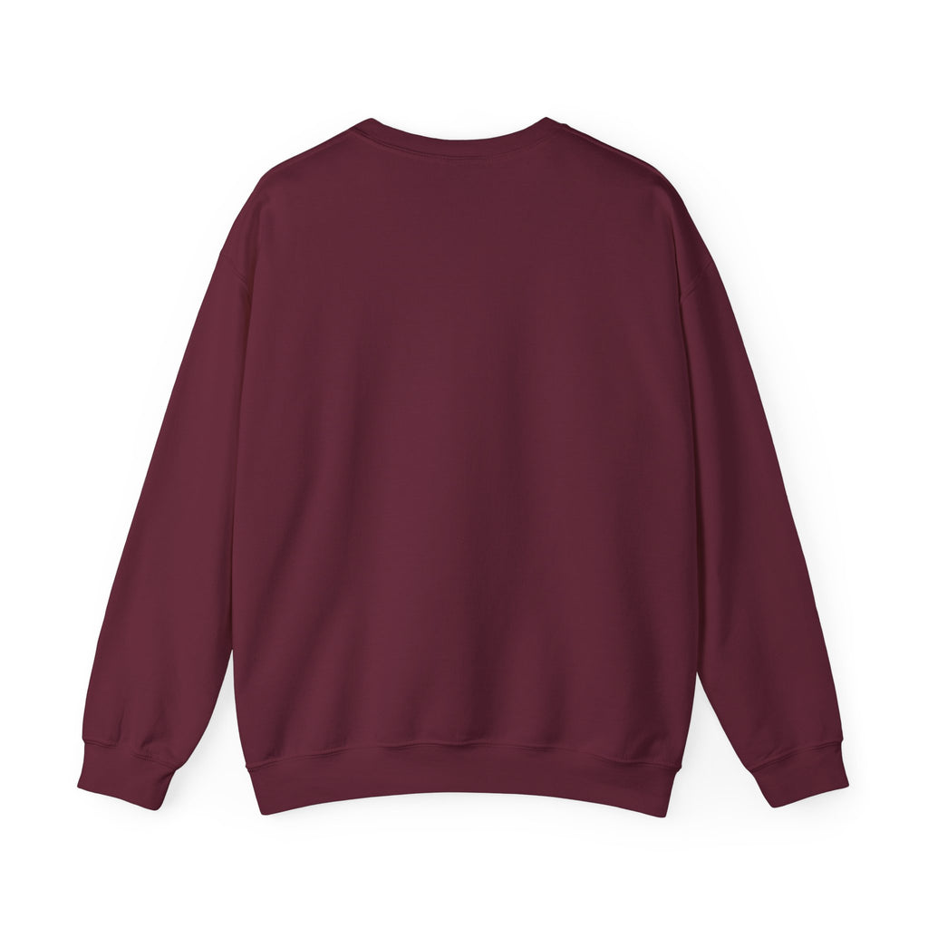 Christmas Sweatshirt - Jesus is the Reason for the Season